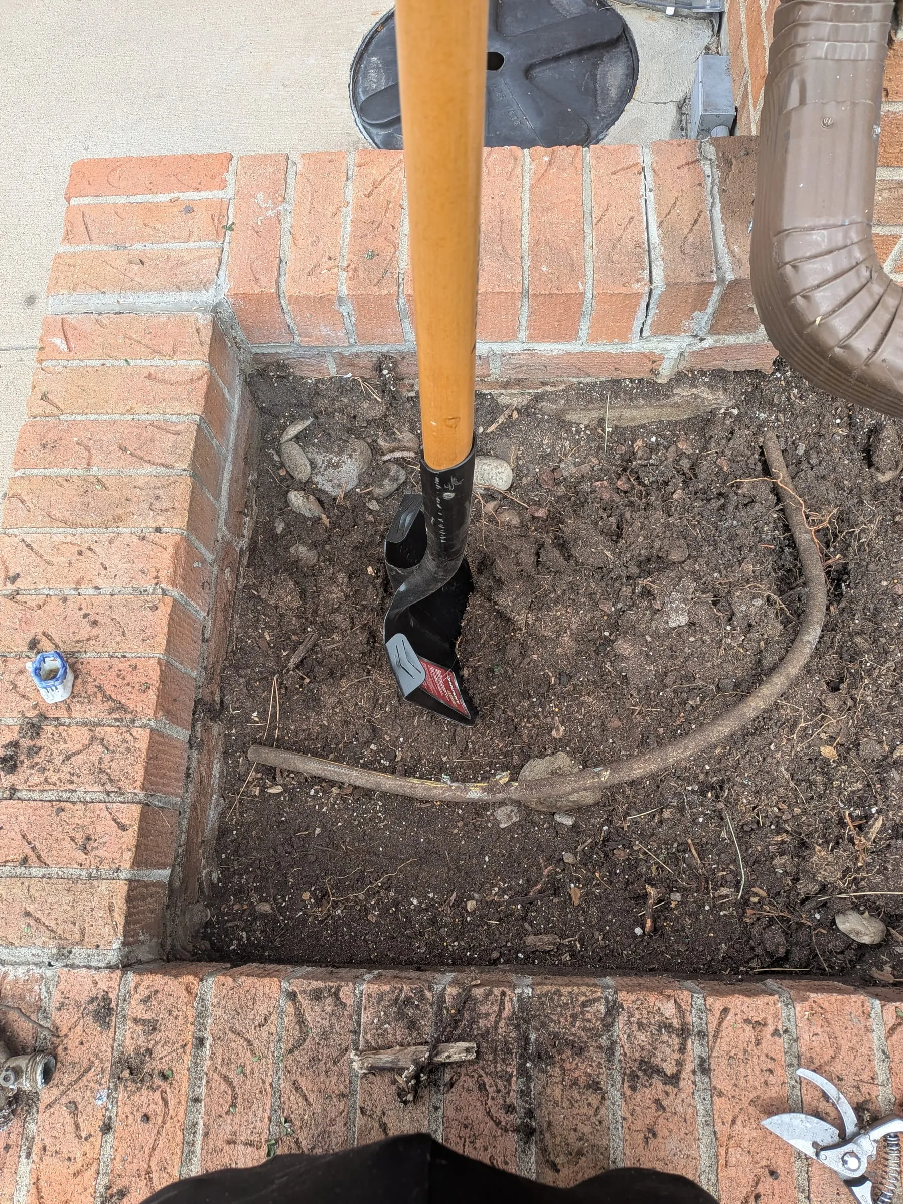 A corner of the brick raised bed partly excavated, with a shovel standing in the soil and cut woody roots exposed