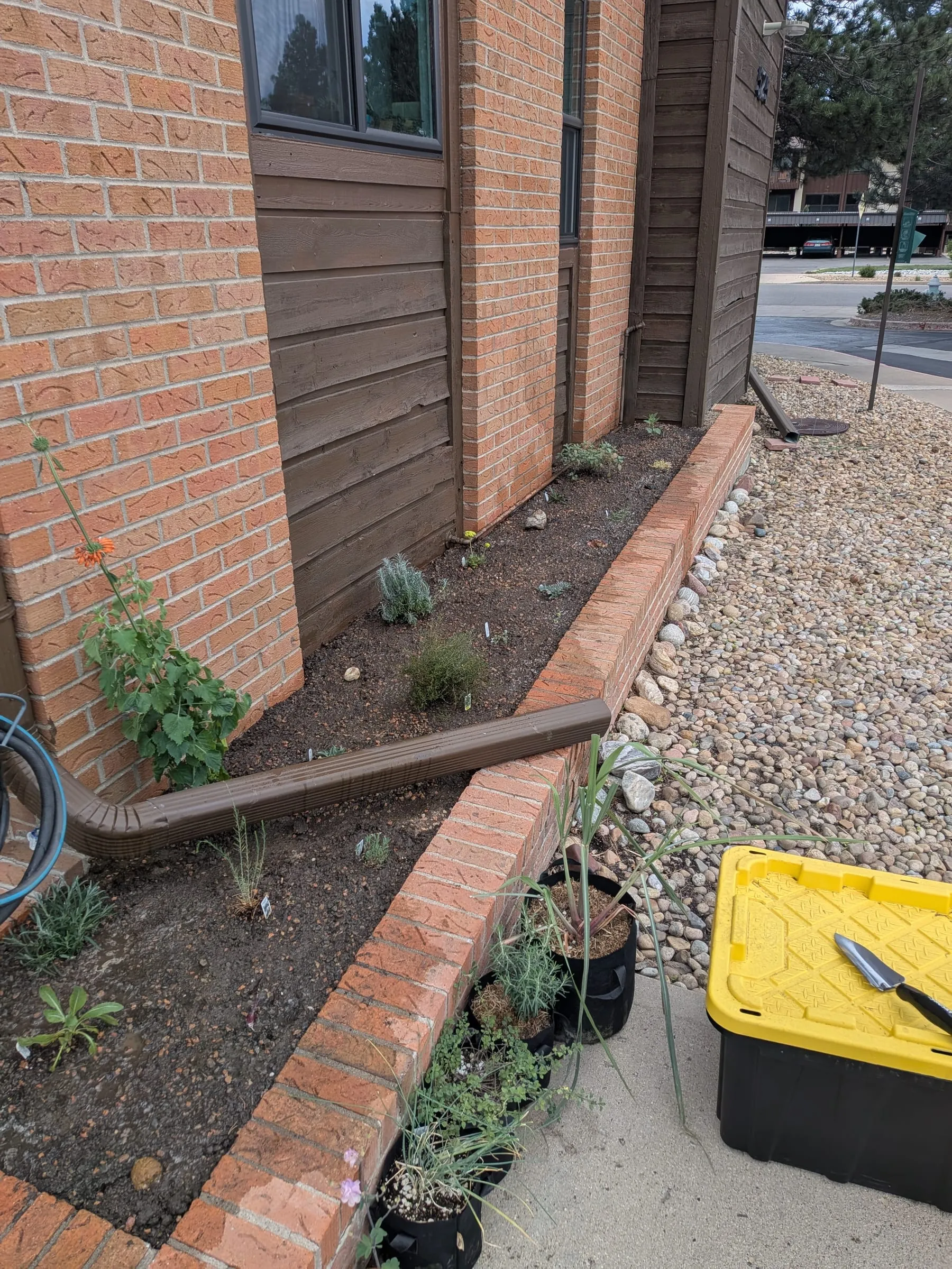 The bed on planting day, with small plants spaced out along 20 ft of bare soil