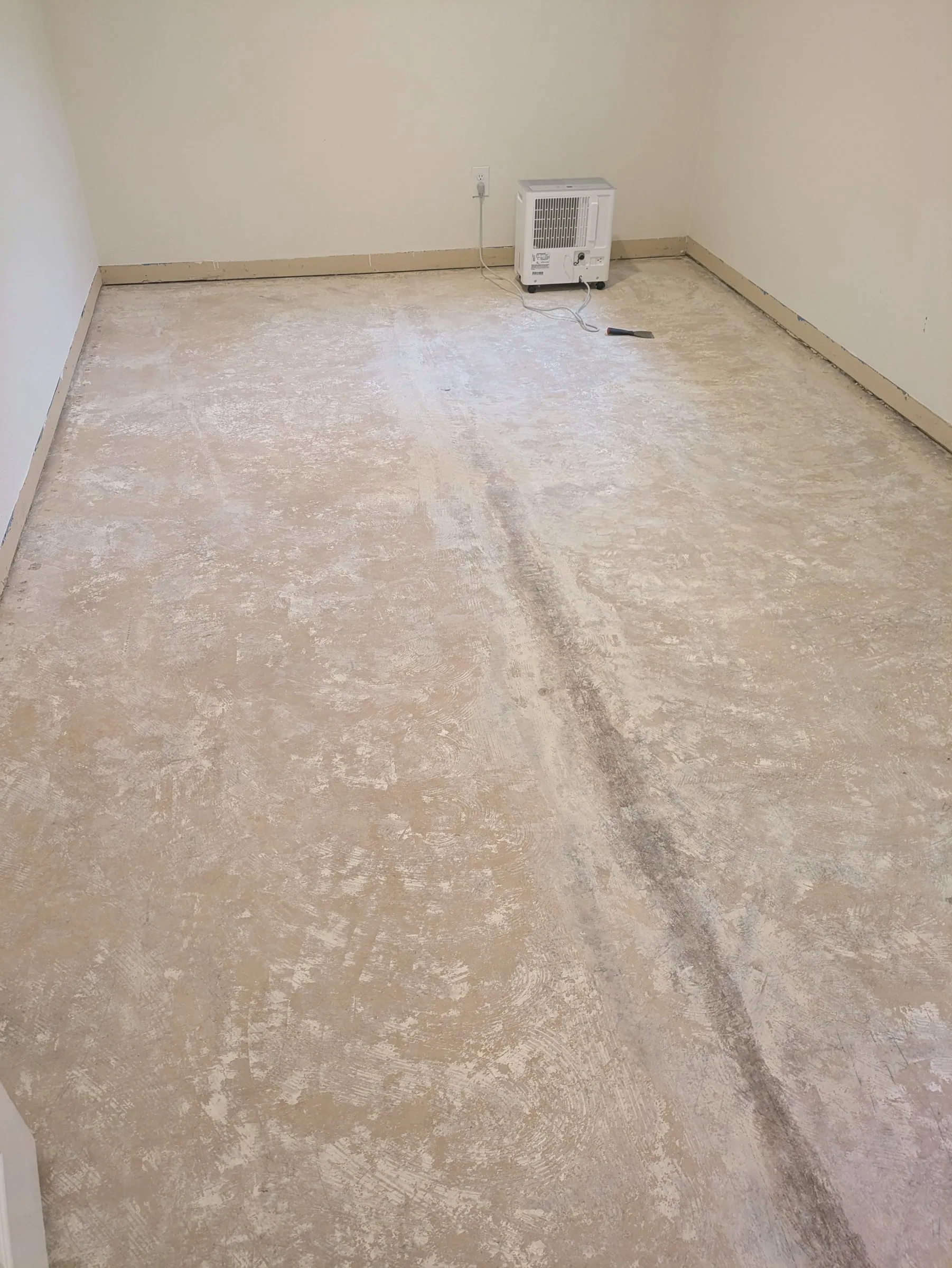 The study slab fully scraped and prepped